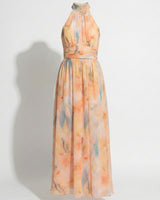 Halter Neck Maxi Dress with Cinched Waist