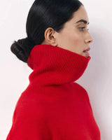 Detail shot of the knitted fabric texture on the red sweater