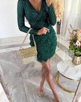 Sequin Fringe Mini Dress with Long Sleeves